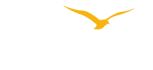 Flyriz Logo